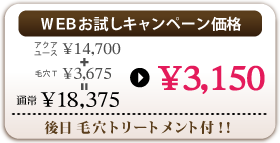 Campaign