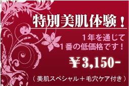 特別美肌体験！一年を通じて、一番の低価格です。