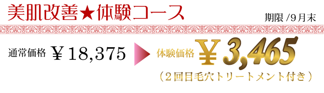 美肌改善★体験コース