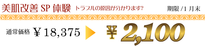 スペシャルコース体験